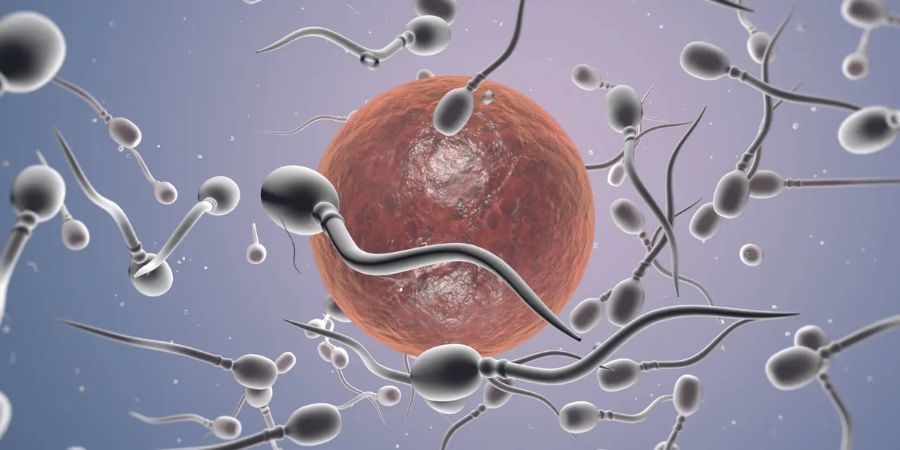 Read more about the article Global Alert After Sperm Donor With Rare Cancer Mutation Fathers Nearly 200 Children